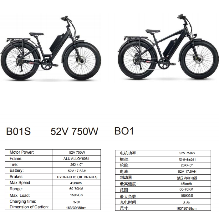 Electric bicycle E-bike B01S 52V 750W