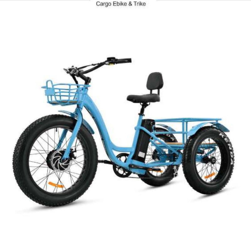 cargo E-bike trike G003 48V 750W