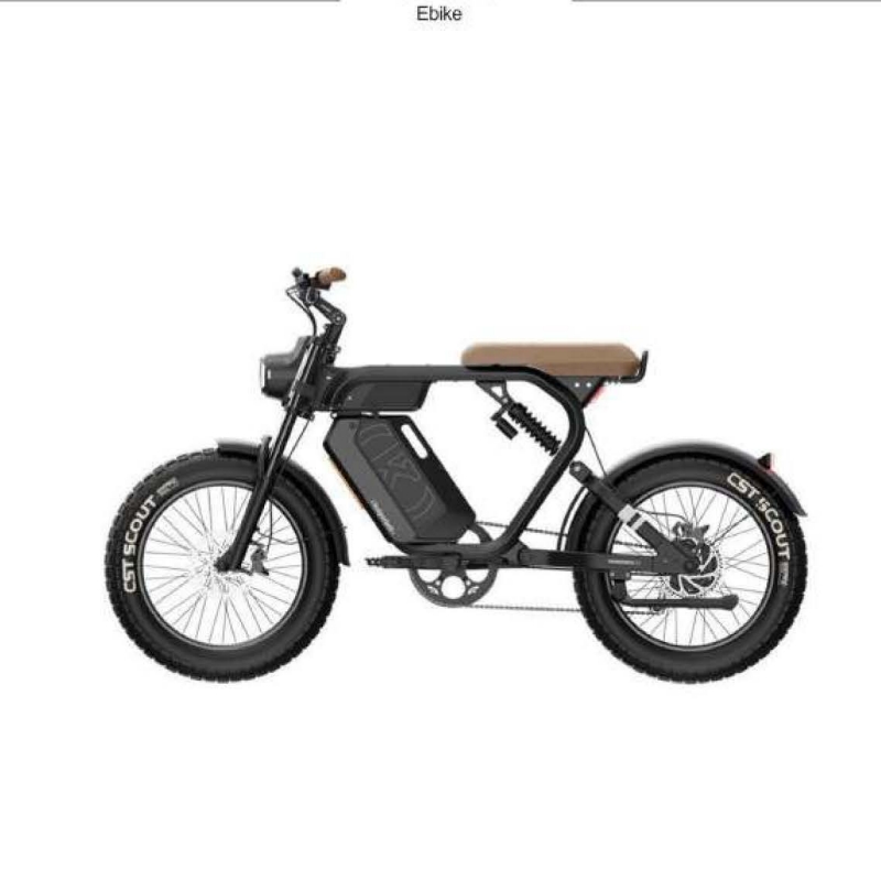 Electric bicycle E-bike K5 48V 750W