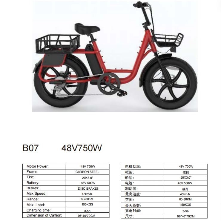 Electric bicycle E-bike B07 48V 750W